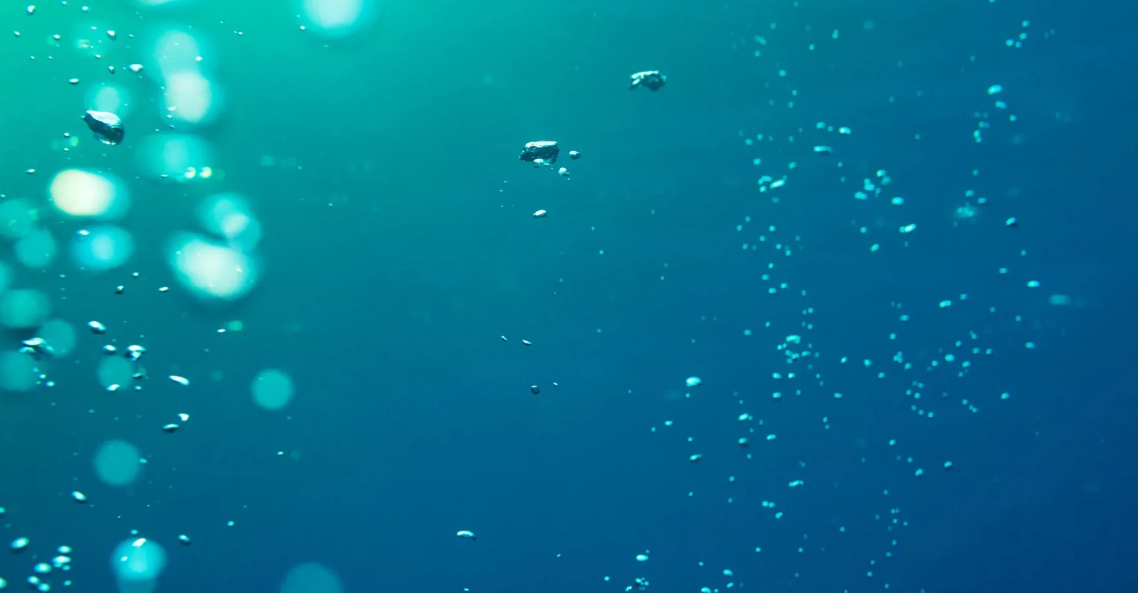 Underwater air bubbles moving upwards
