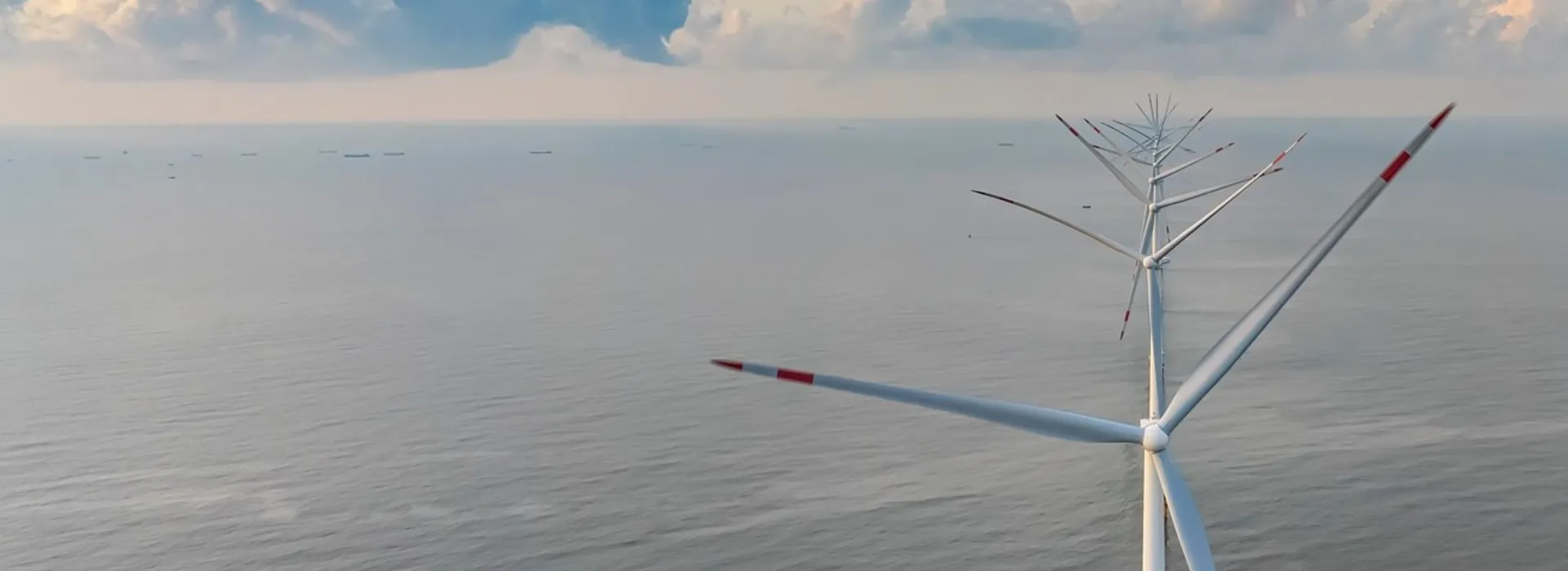 Offshore wind turbines above calm water.