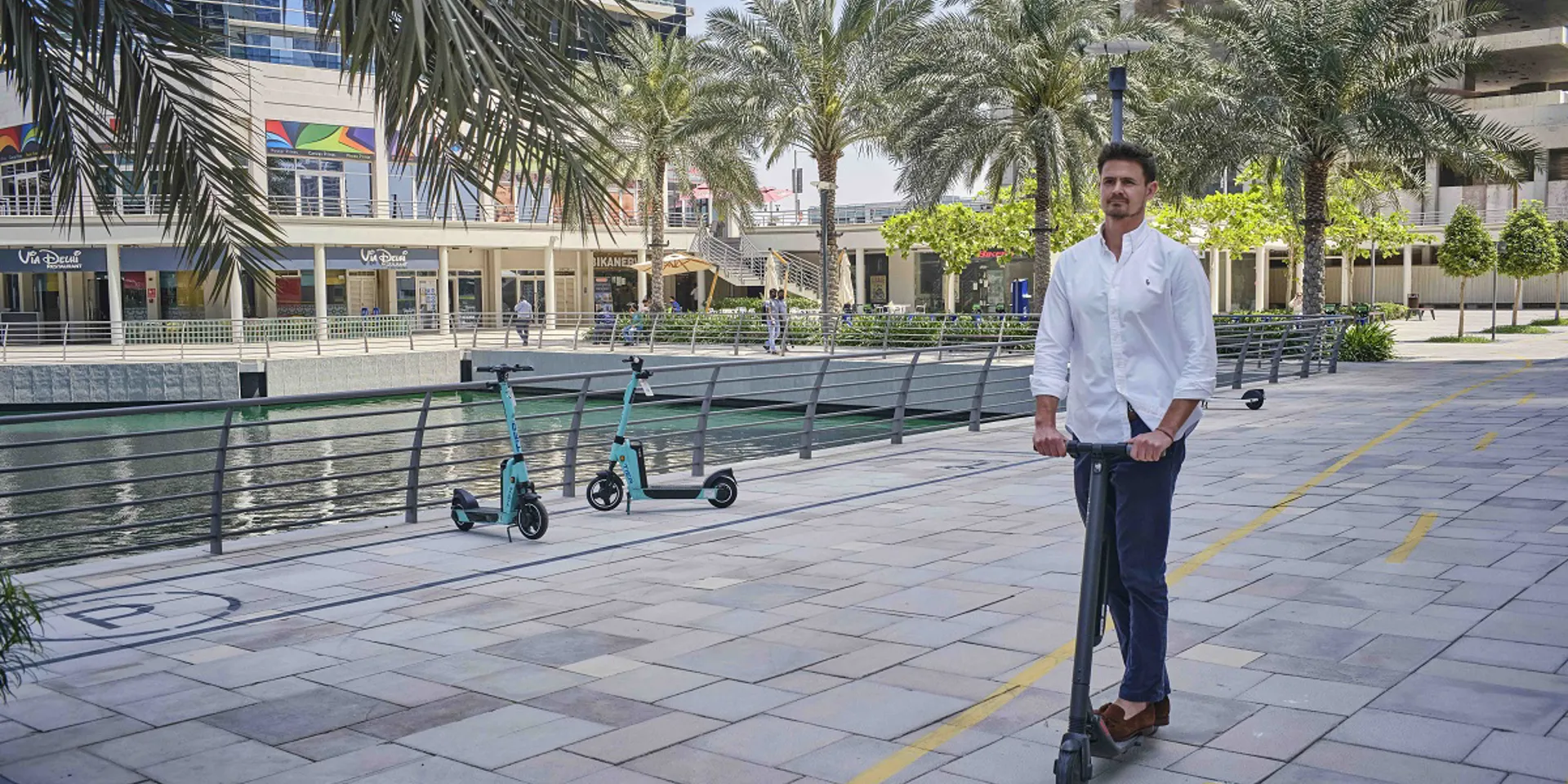 Person riding a scooter by a palm-lined walkway.