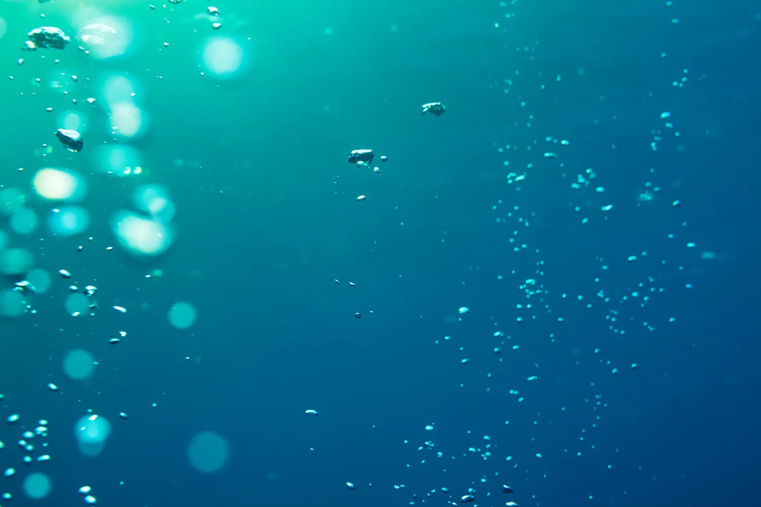 Underwater air bubbles moving upwards