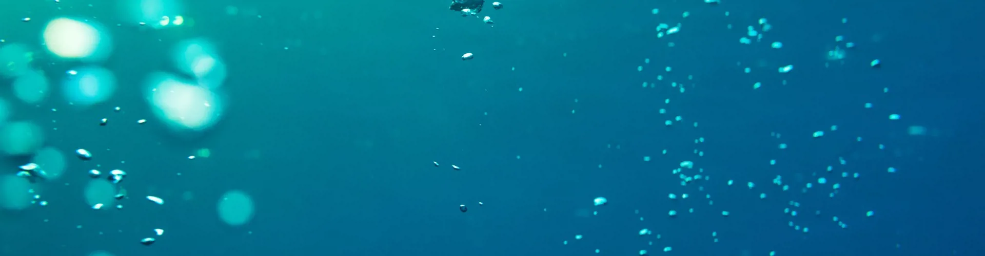 Underwater air bubbles moving upwards
